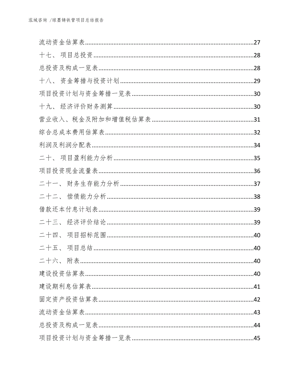 球墨铸铁管项目总结报告_第2页