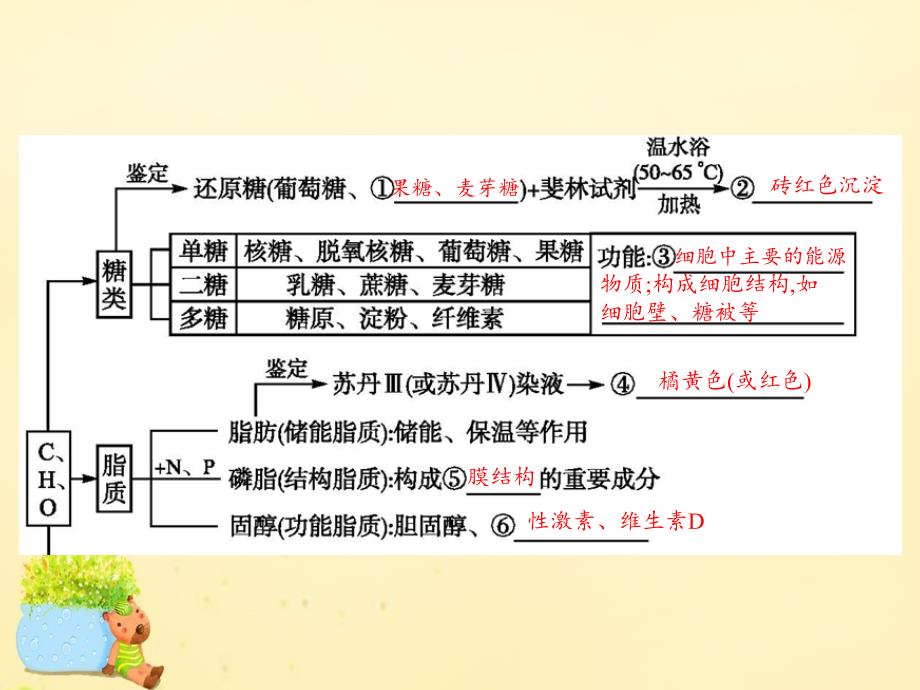 （新课标）2016届高考生物二轮复习专题1细胞的分子组成和结构1细胞的分子组成课件_第4页