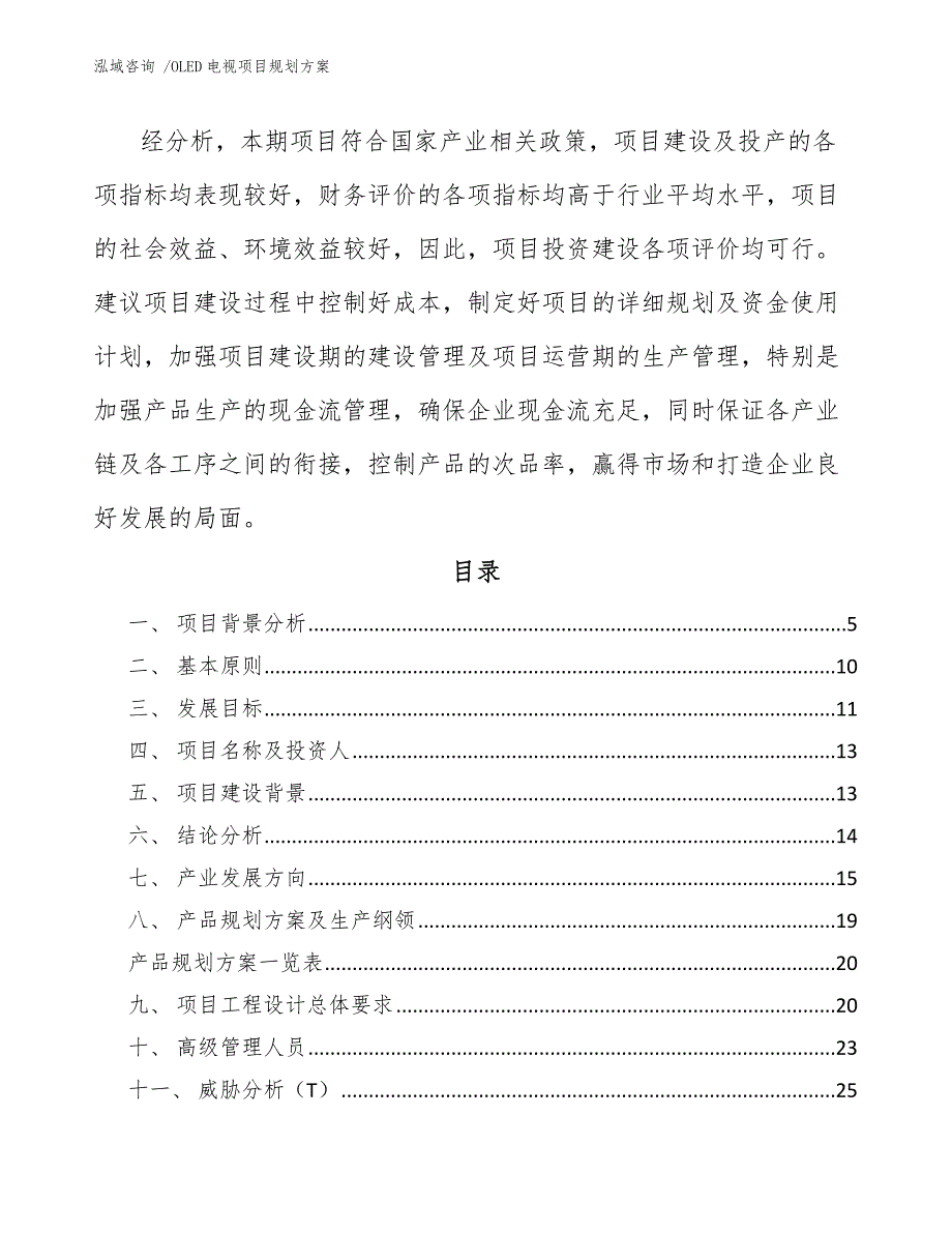 OLED电视项目规划方案范文参考_第2页