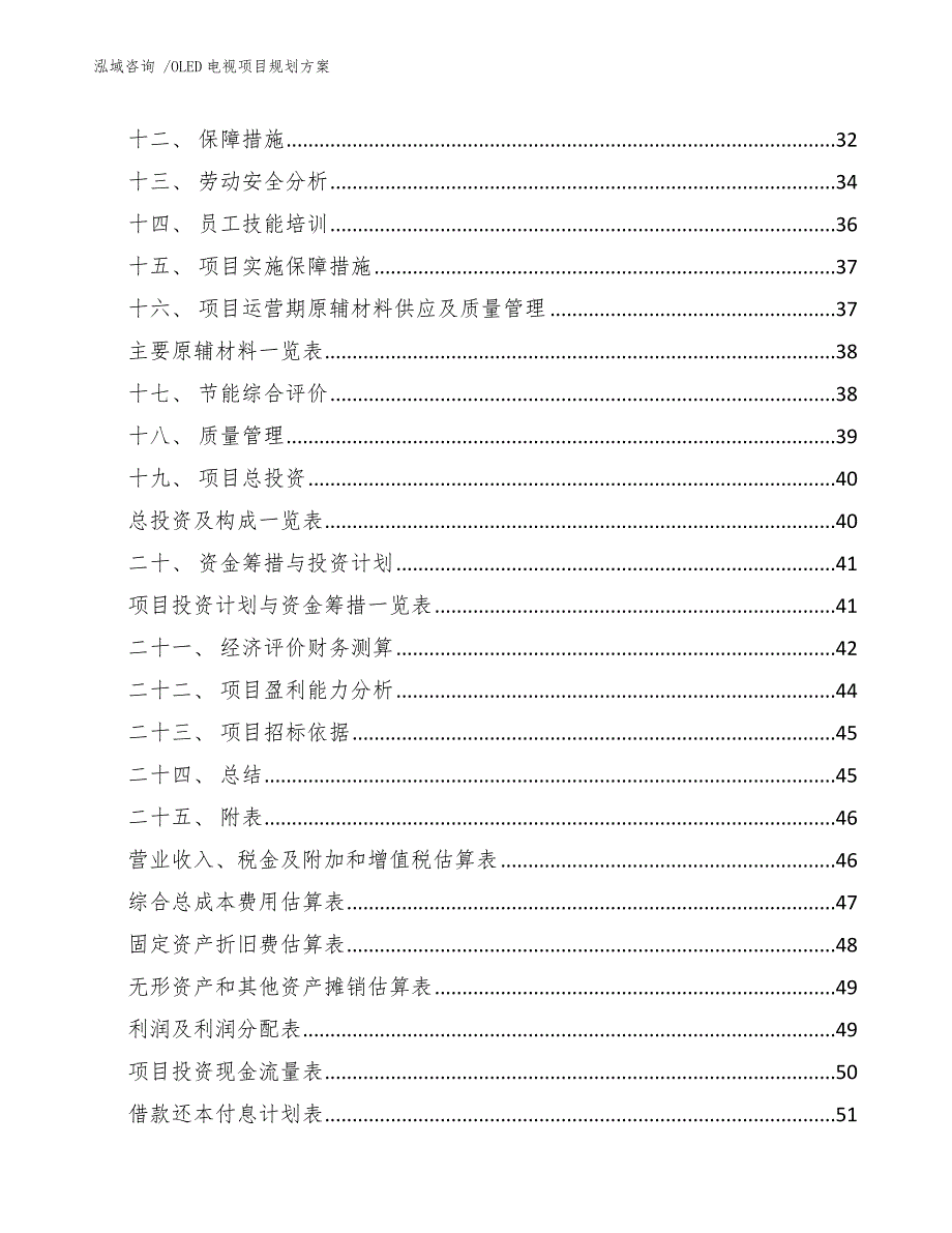 OLED电视项目规划方案范文参考_第3页