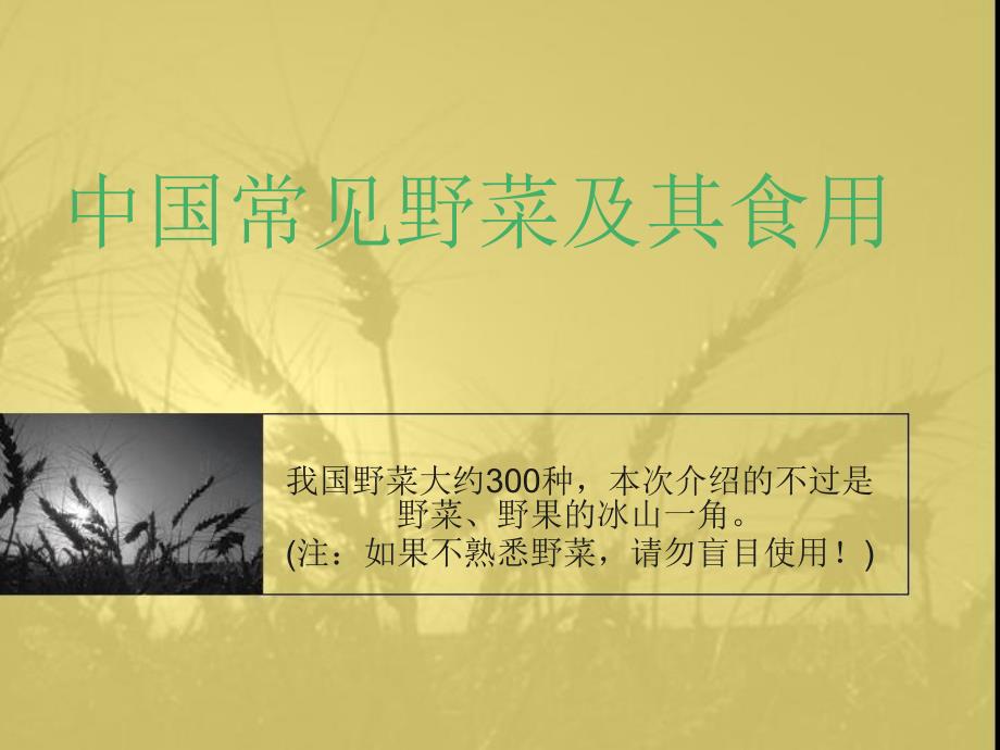 《常见野菜及其食用》PPT课件_第1页