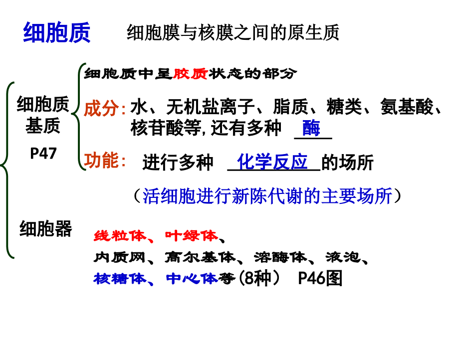 2018细胞器一轮复习【上课】用ppt课件_第3页