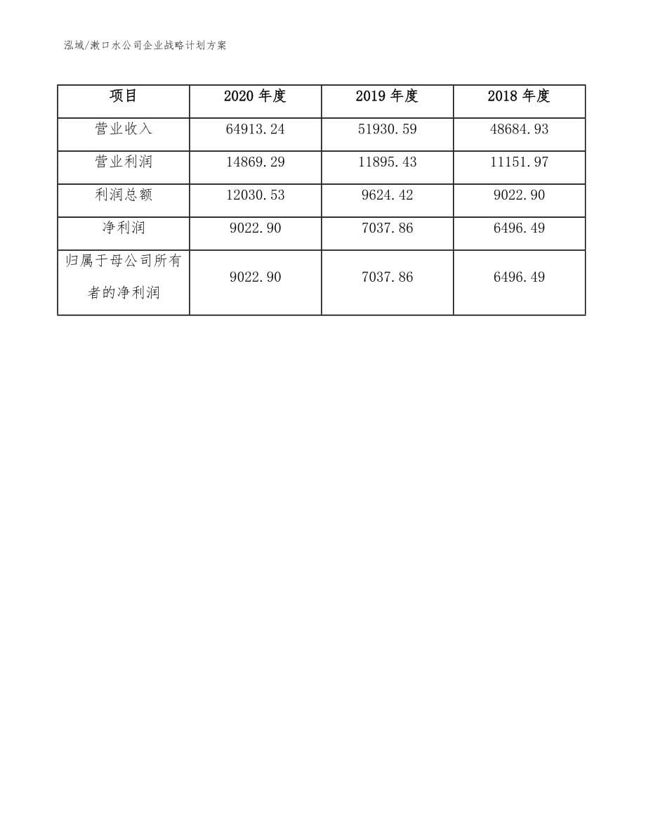 漱口水公司企业战略计划方案（参考）_第5页