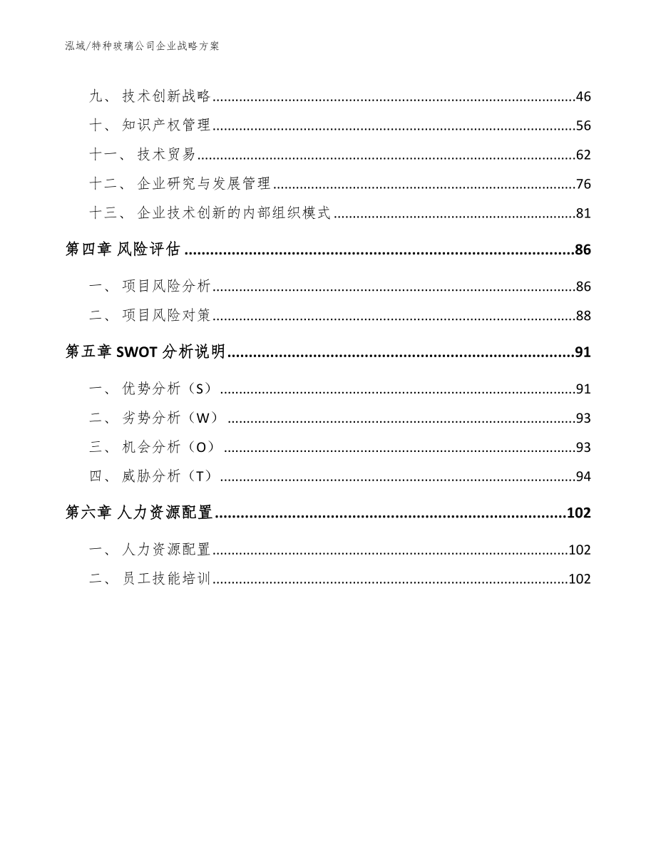 特种玻璃公司企业战略方案（参考）_第3页