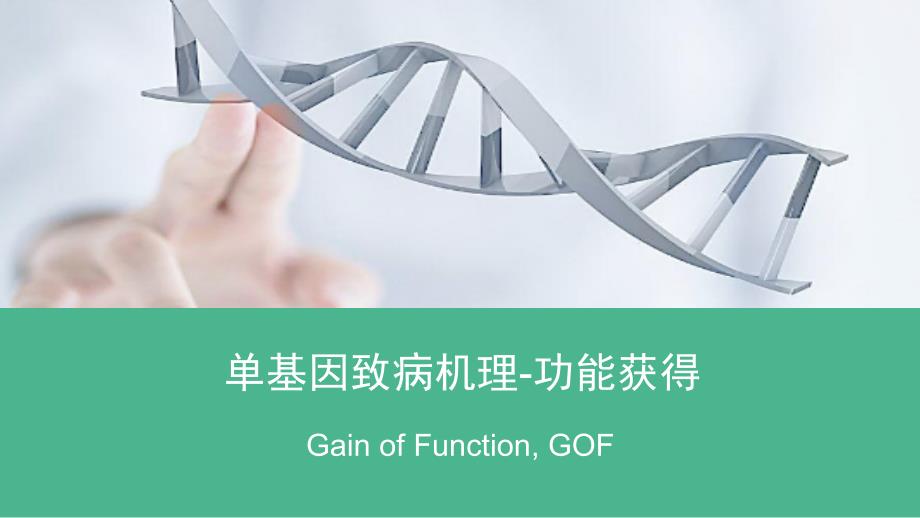 单基因病致病机理-功能获得gain of function GOF_第1页