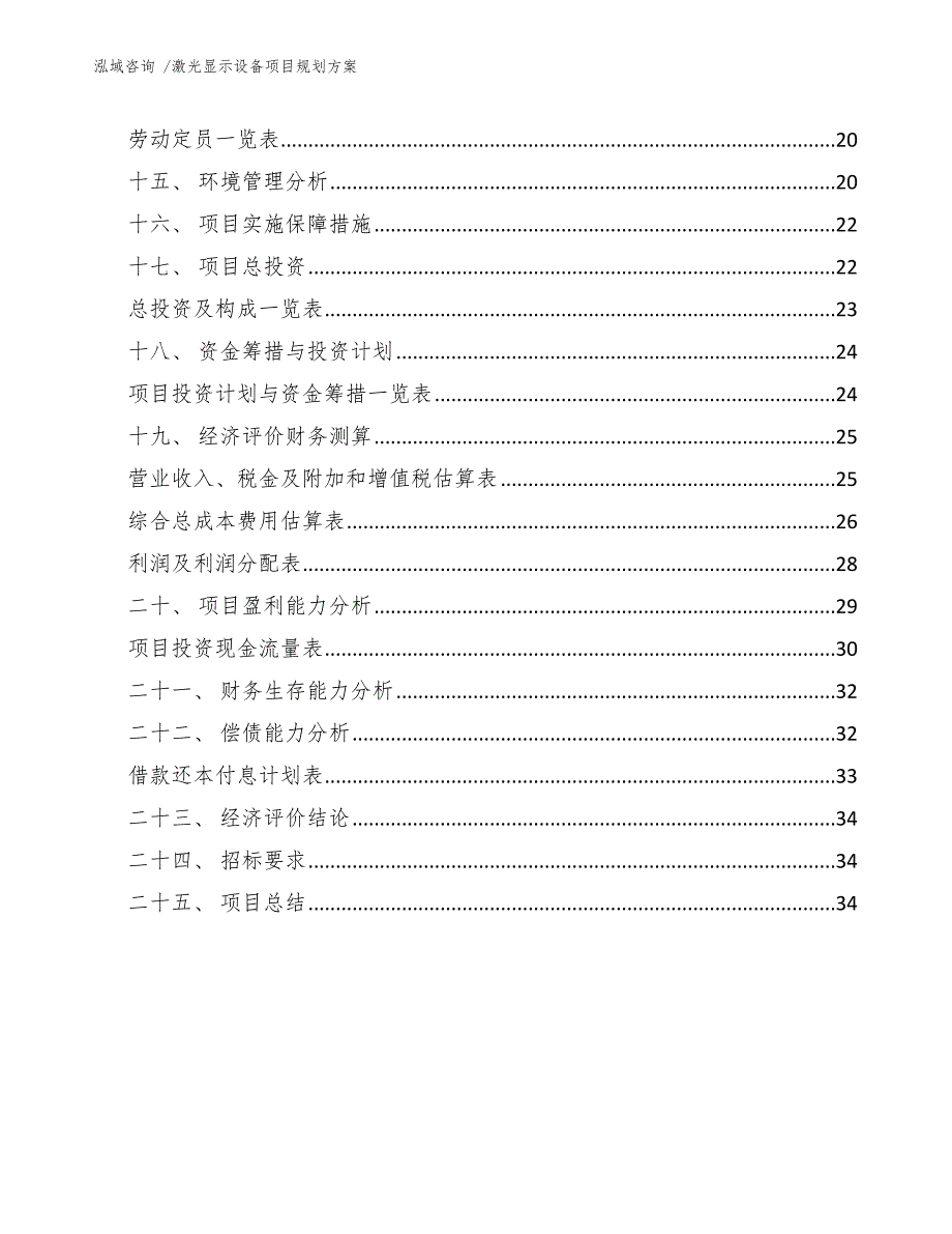 激光显示设备项目规划方案（模板）_第2页