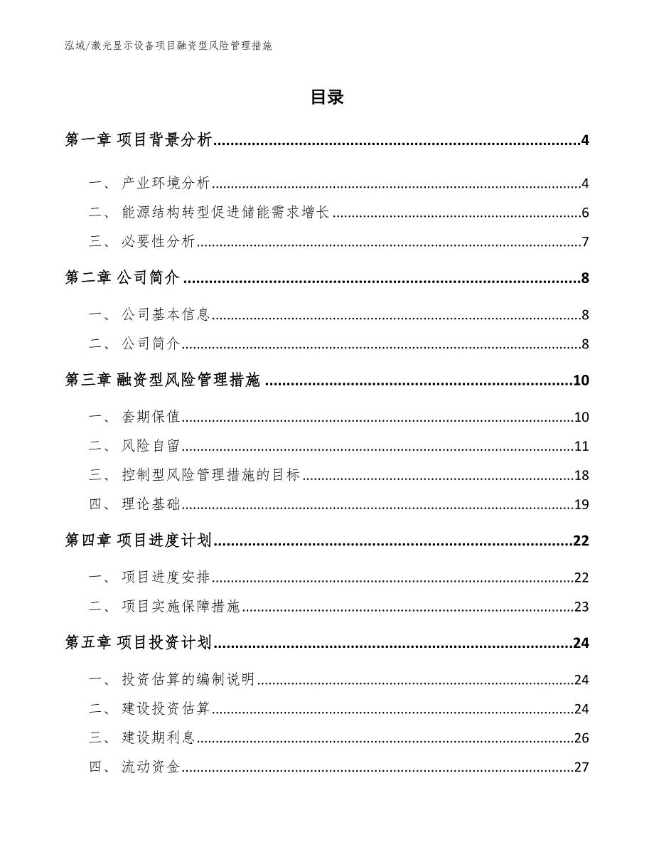 激光显示设备项目融资型风险管理措施_第2页