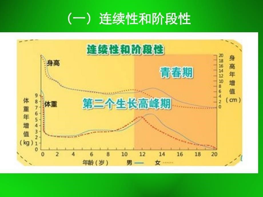 儿童与老年营养PPT课件_第5页