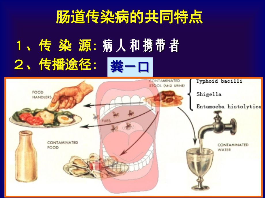 传染病、流脑、乙脑课件_第2页