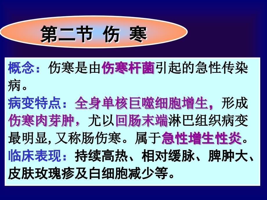 传染病、流脑、乙脑课件_第5页