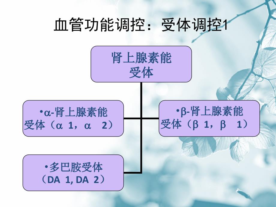 升压药物的临床应用及观察课件_第4页