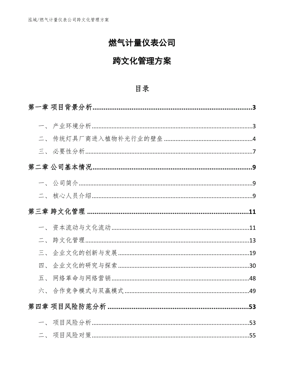 燃气计量仪表公司跨文化管理方案【范文】_第1页