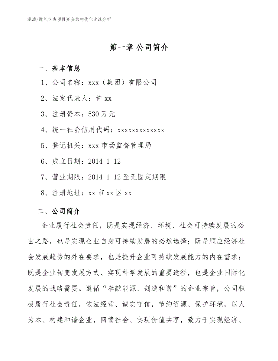 燃气仪表项目资金结构优化比选分析（参考）_第4页