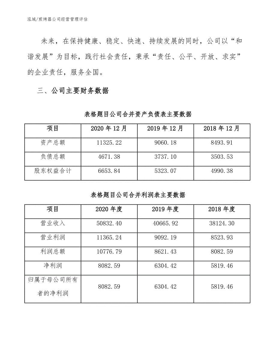 煎烤器公司经营管理评估_第5页