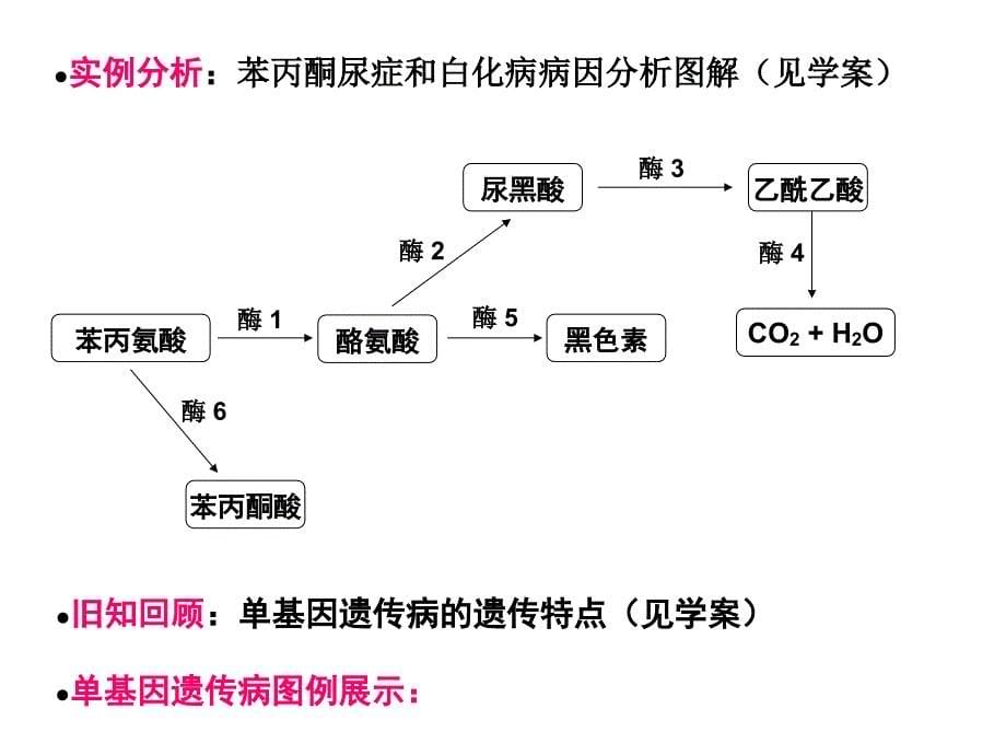 人类遗传病50650_第5页