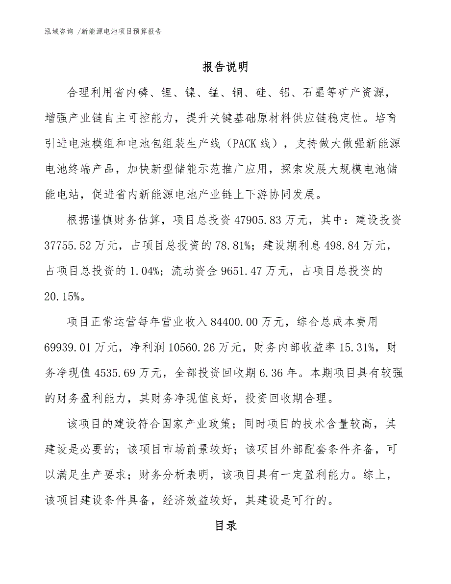 新能源电池项目预算报告_第2页