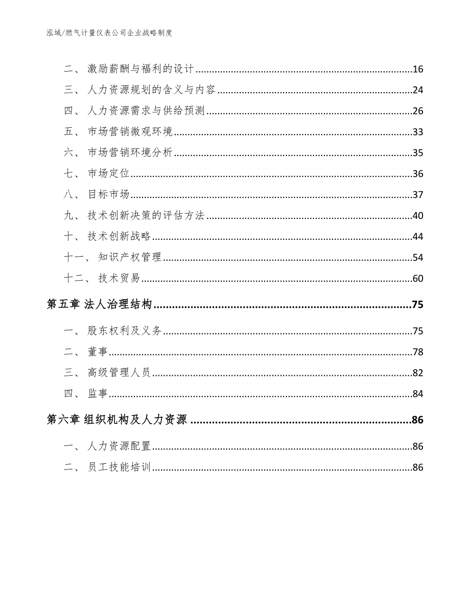 燃气计量仪表公司企业战略制度_参考_第2页