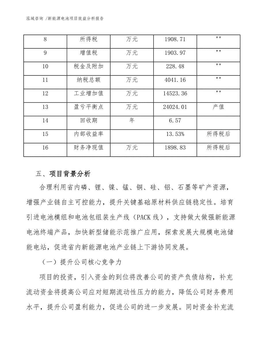 新能源电池项目效益分析报告【模板范文】_第5页