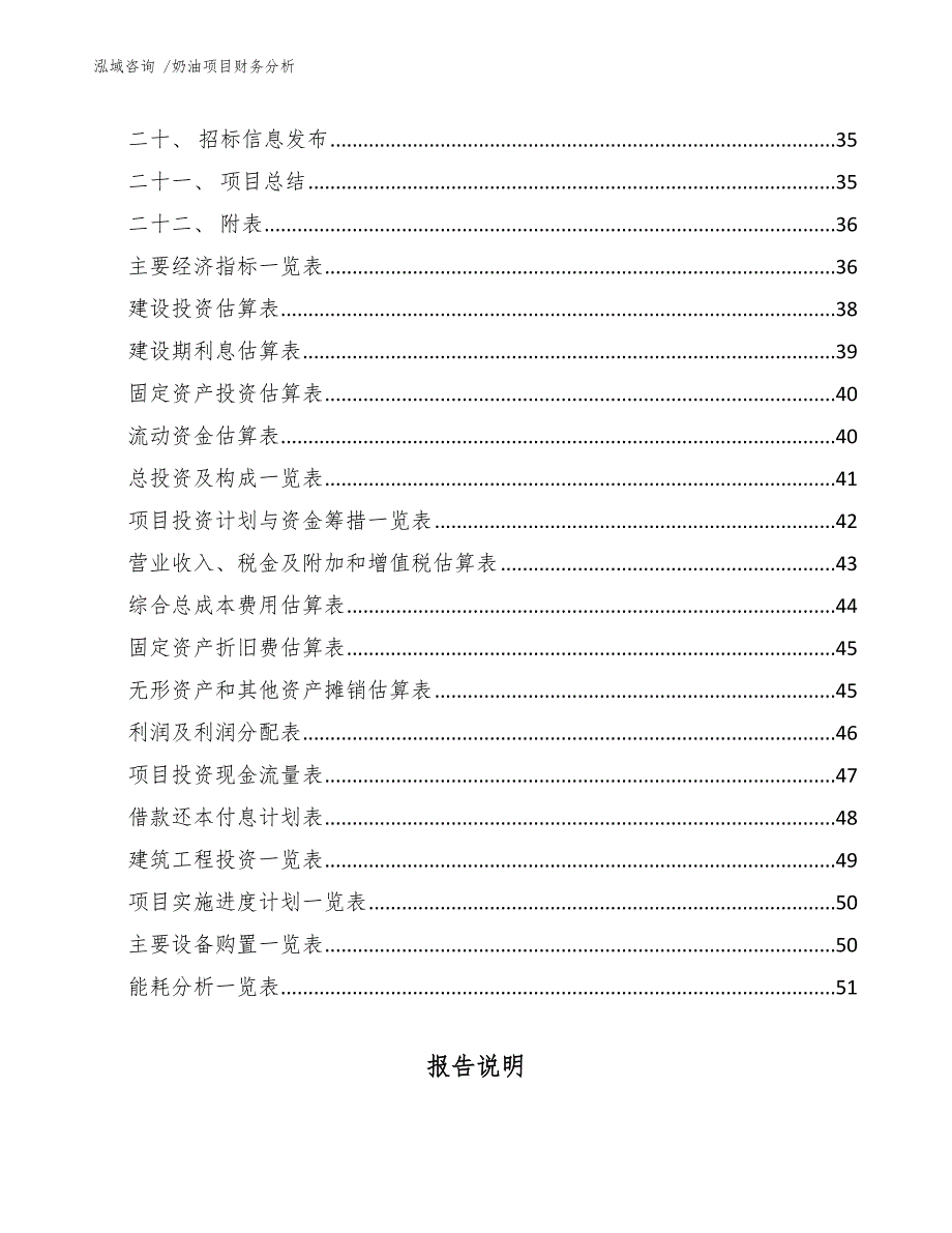 奶油项目财务分析_模板_第3页