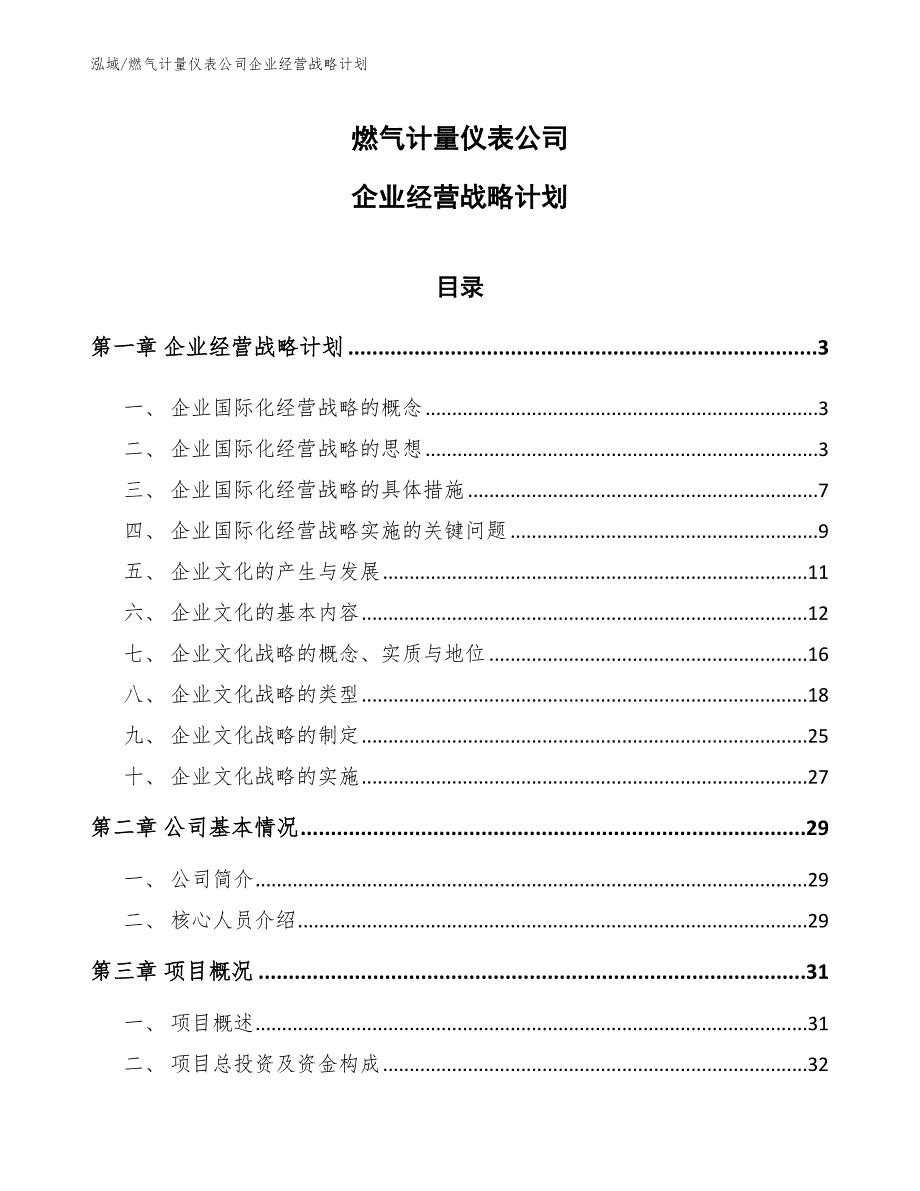 燃气计量仪表公司企业经营战略计划_参考_第1页