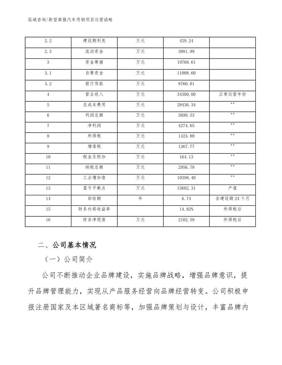 新型高强汽车用钢项目运营战略_第5页