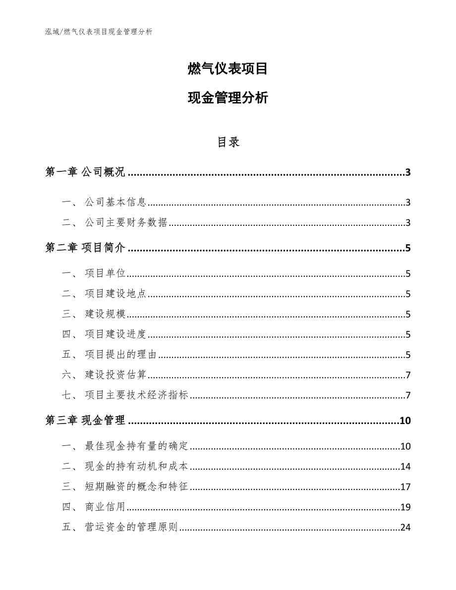 燃气仪表项目现金管理分析_第1页