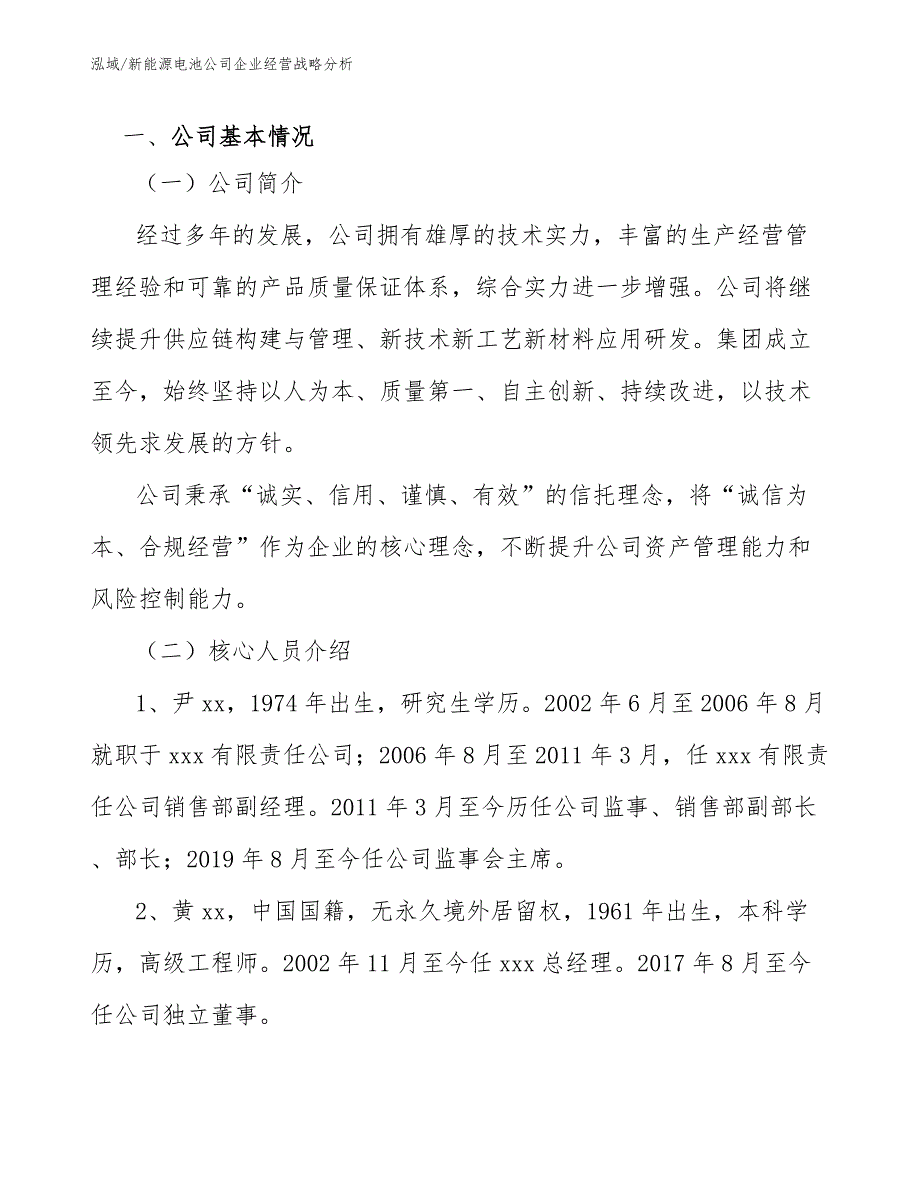 新能源电池公司企业经营战略分析【参考】_第3页