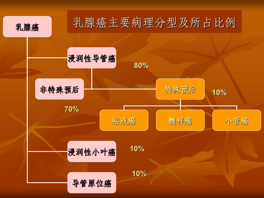 乳腺疾病超声诊断要点李晶2011盛京_第3页