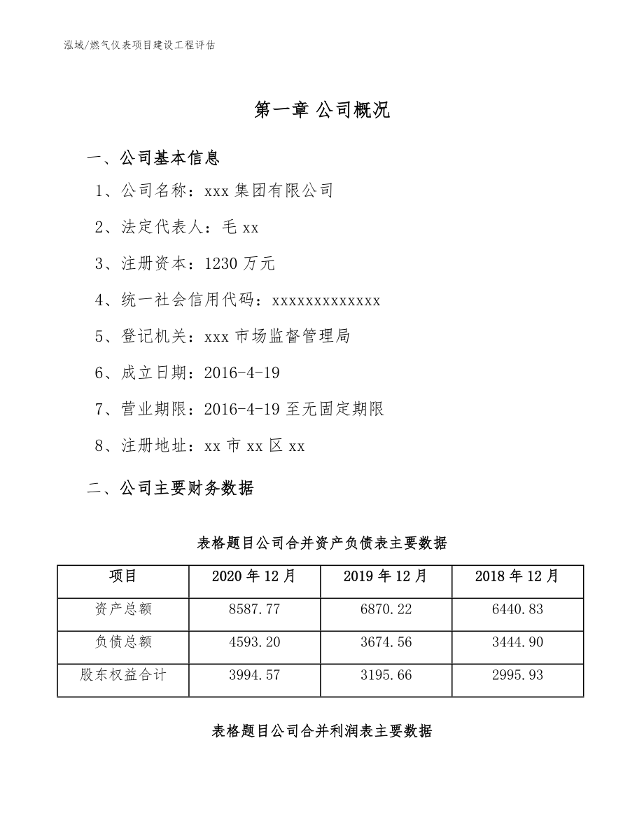 燃气仪表项目建设工程评估【参考】_第4页