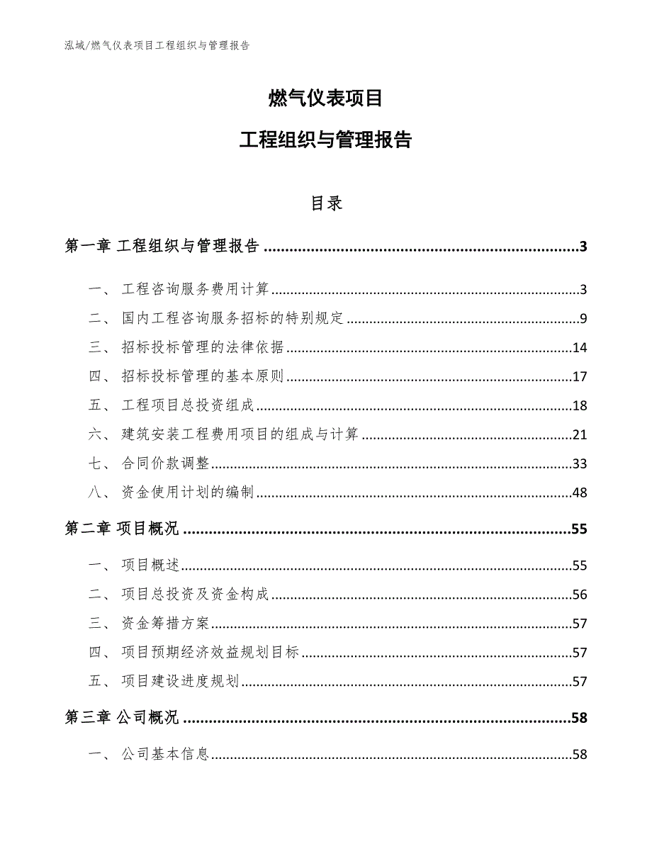 燃气仪表项目工程组织与管理报告_第1页