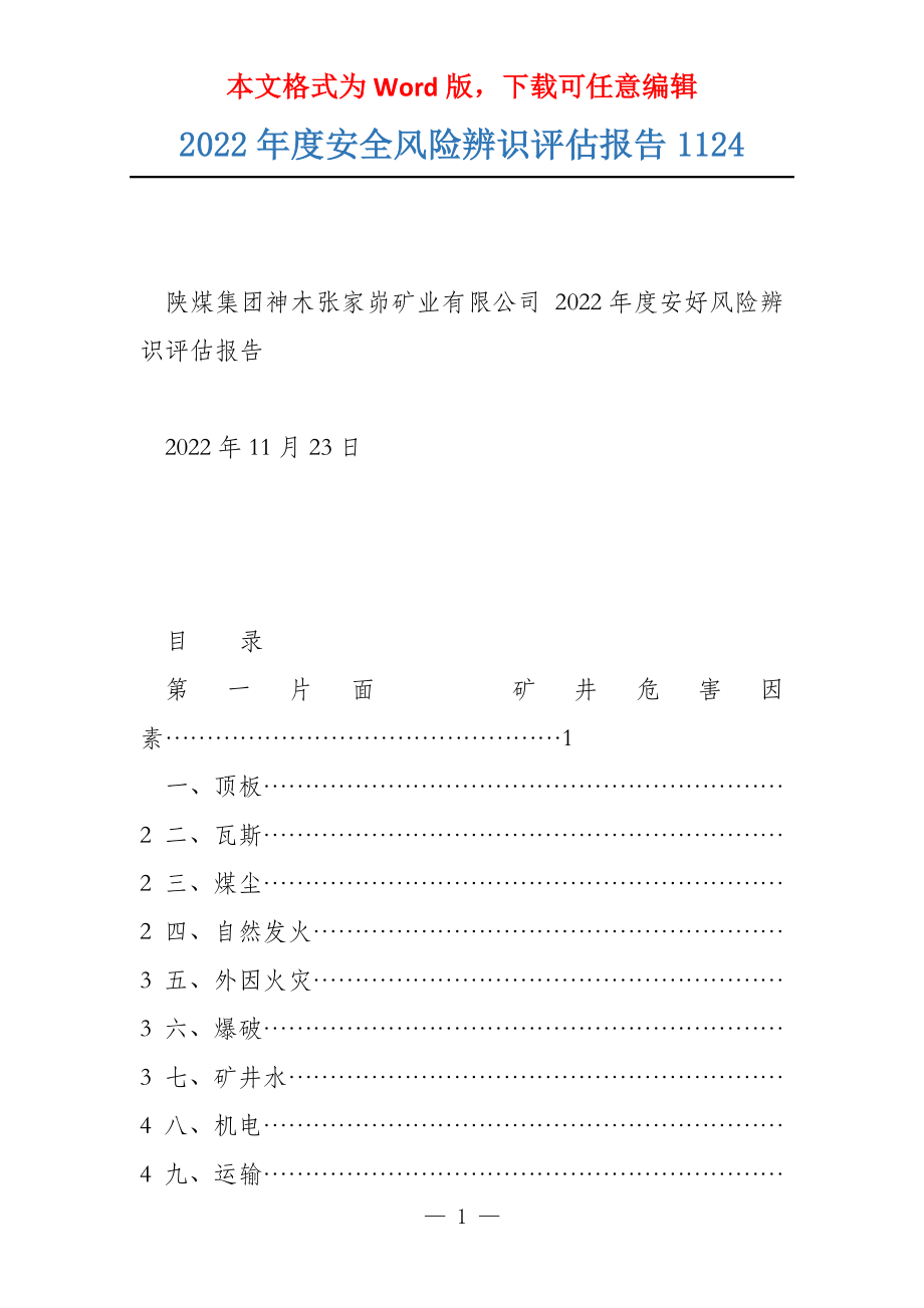 2022年度安全风险辨识评估报告1124_第1页