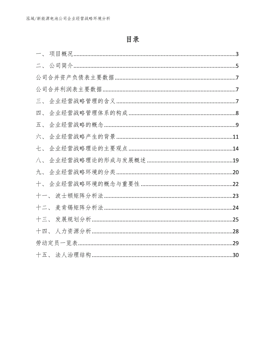 新能源电池公司企业经营战略环境分析（范文）_第2页