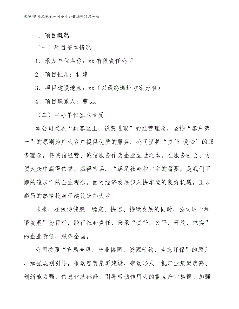 新能源电池公司企业经营战略环境分析（范文）_第3页