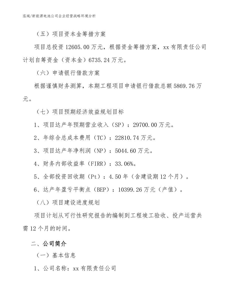 新能源电池公司企业经营战略环境分析（范文）_第5页