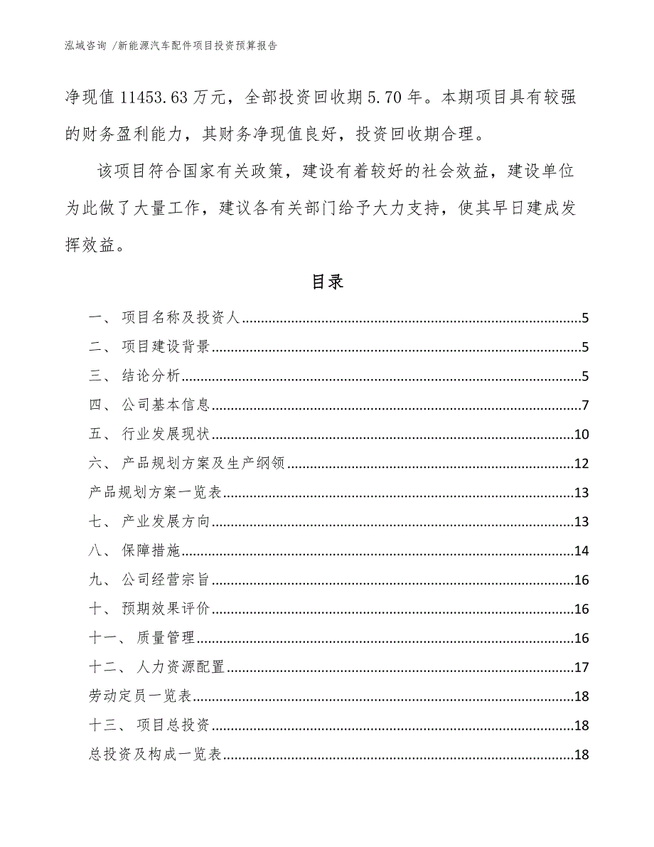 新能源汽车配件项目投资预算报告-（参考范文）_第2页