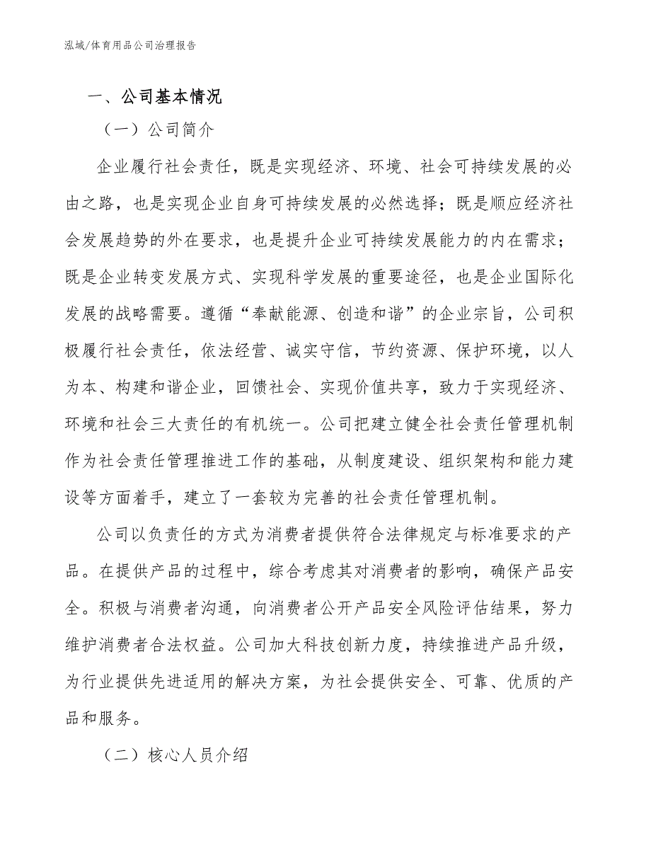 体育用品公司治理报告【范文】_第3页