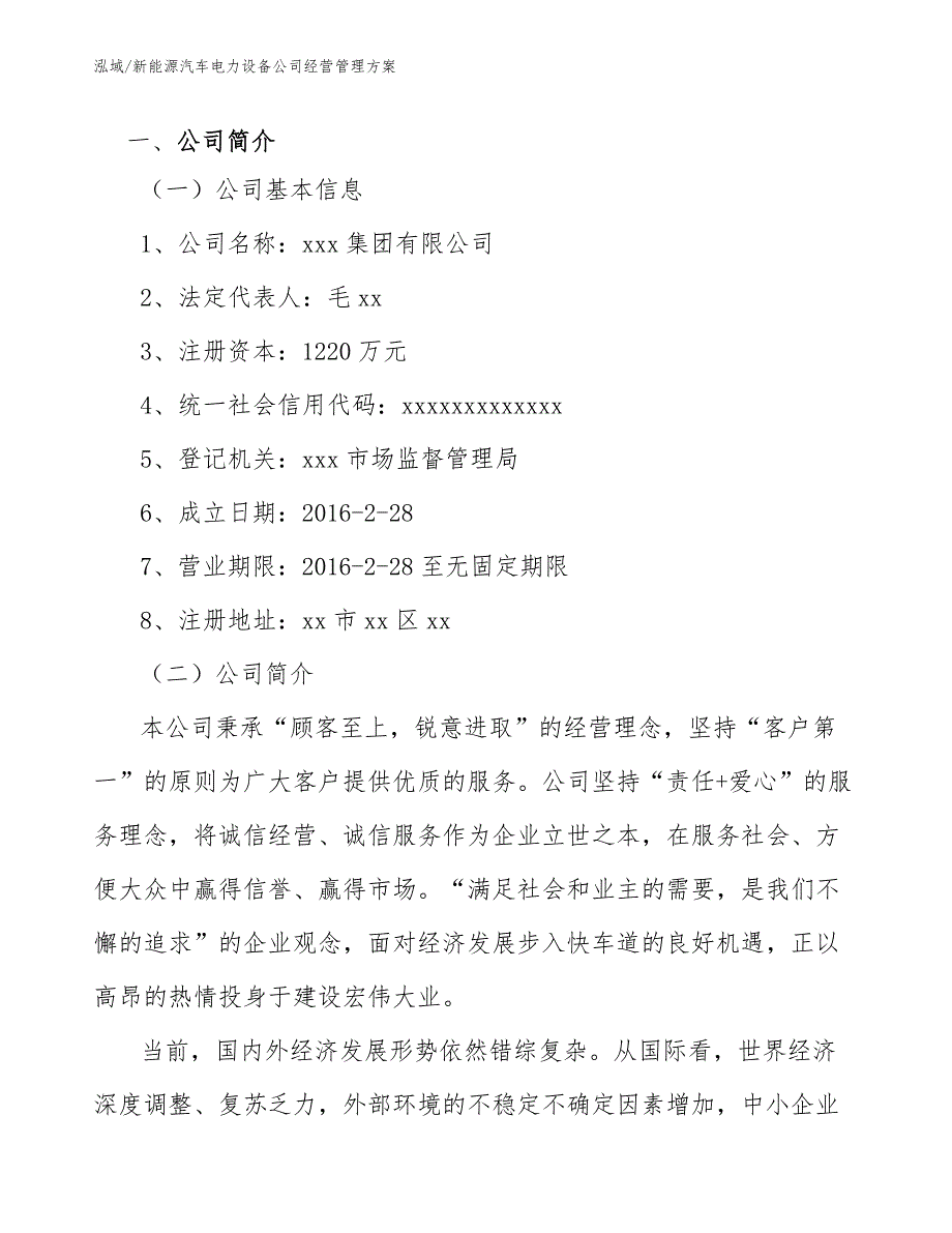 新能源汽车电力设备公司经营管理方案_第3页