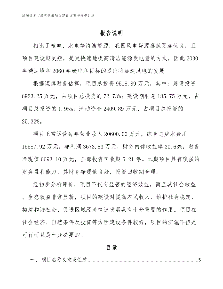 燃气仪表项目建设方案与投资计划范文_第1页