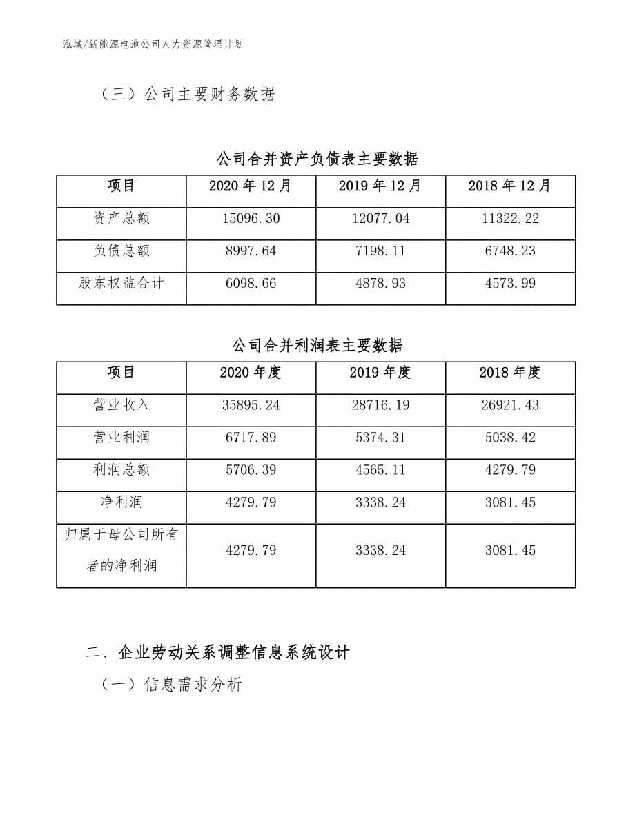 新能源电池公司人力资源管理计划_参考_第5页