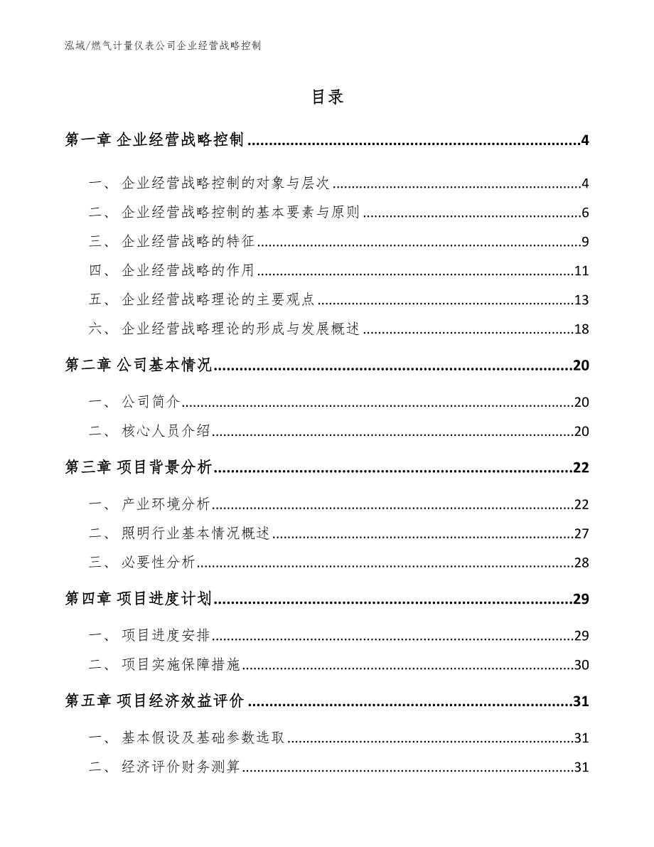 燃气计量仪表公司企业经营战略控制（范文）_第2页