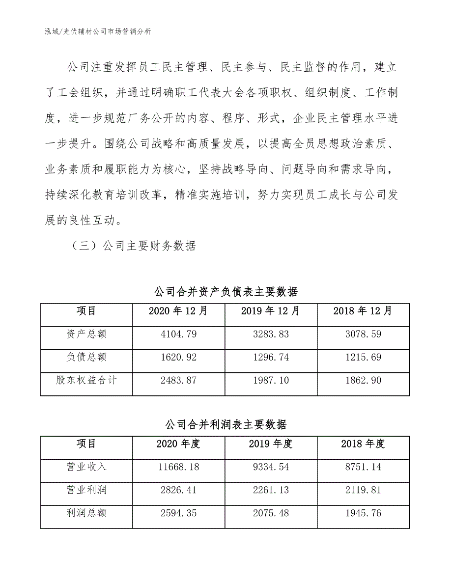 光伏辅材公司市场营销分析（参考）_第4页