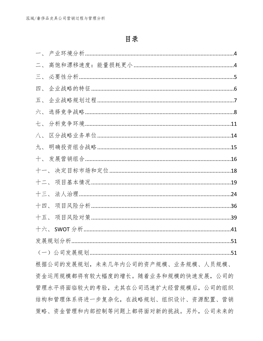 奢侈品皮具公司营销过程与管理分析【范文】_第2页