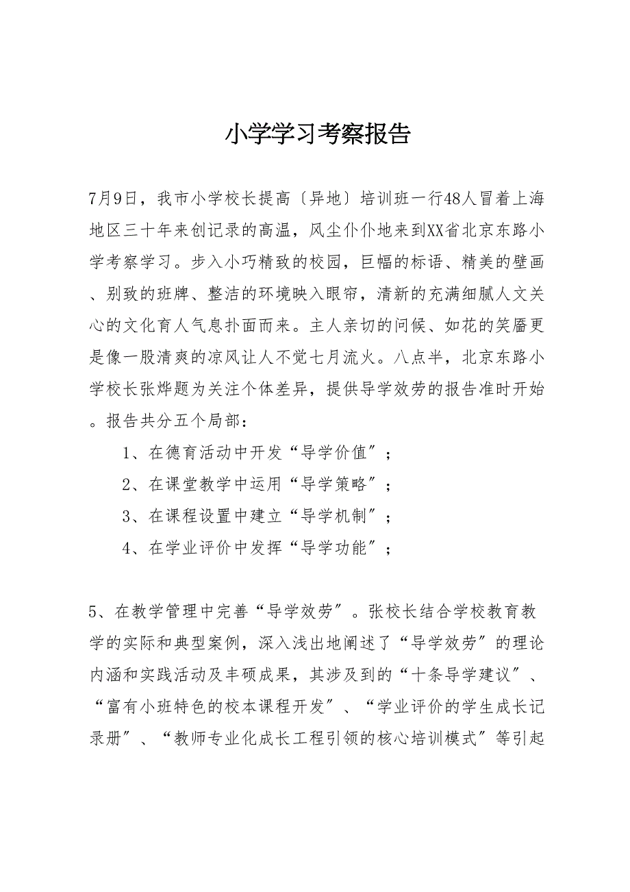 2022年小学学习考察报告_第1页