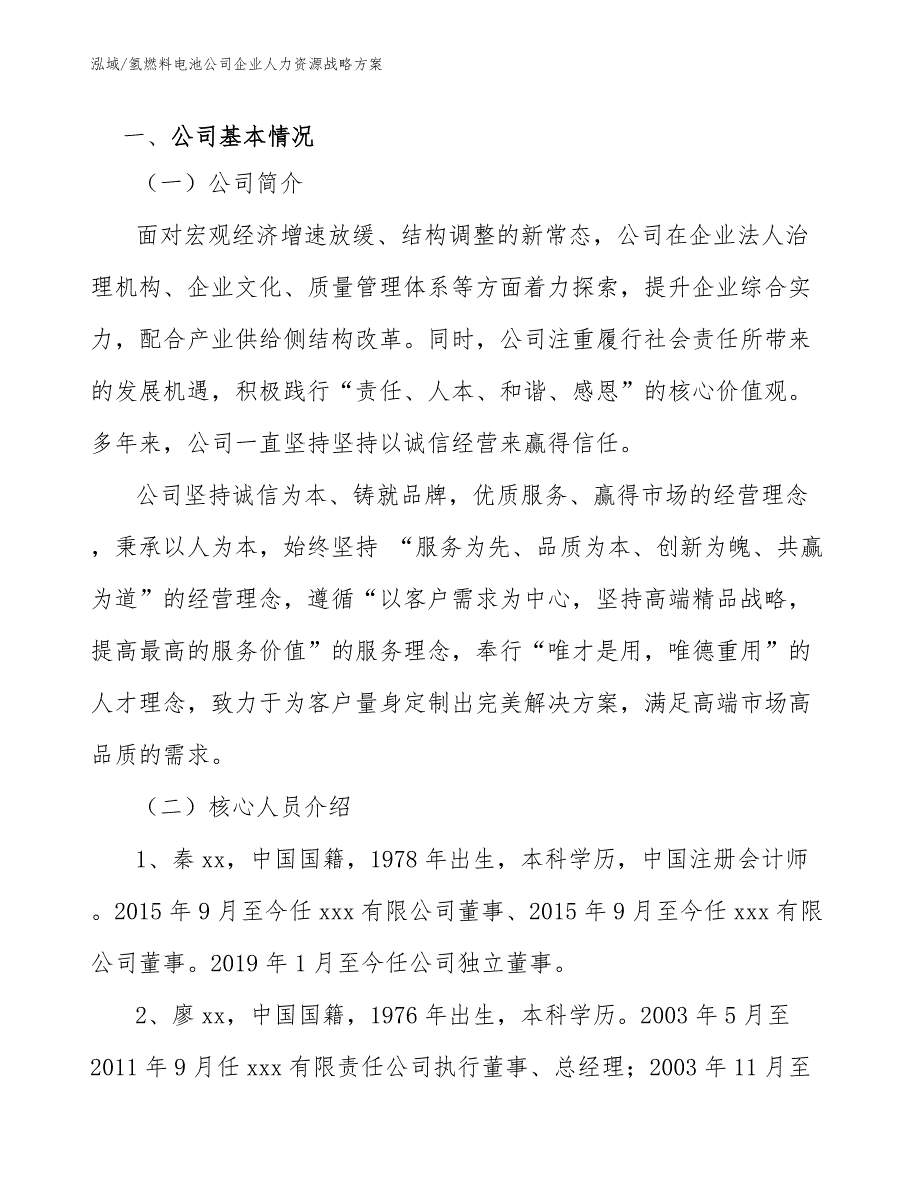 氢燃料电池公司企业人力资源战略方案【范文】_第2页