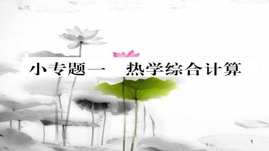 （毕节专版）九年级物理全册 小专题一 热学综合计算作业课件 （新版）新人教版_第1页