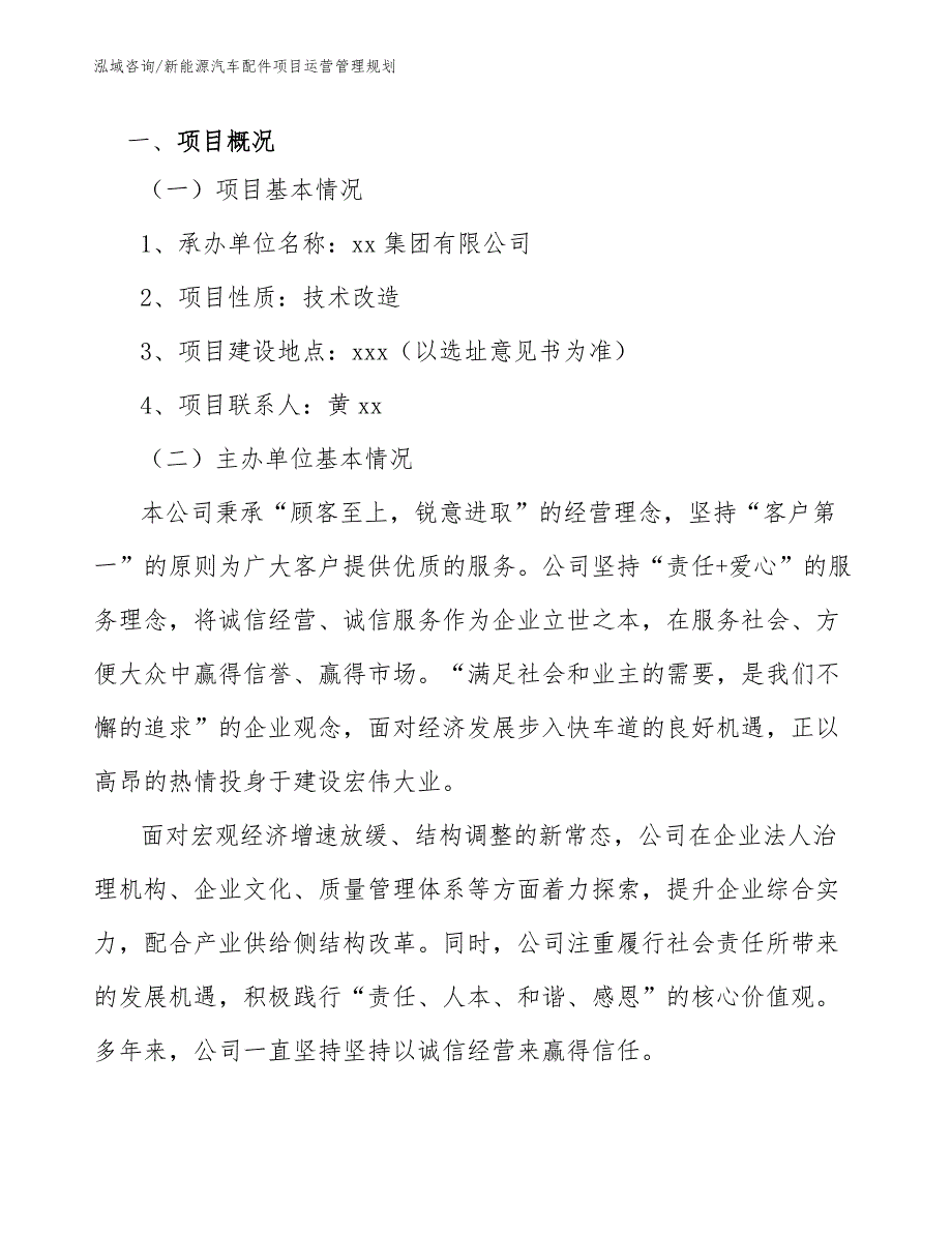 新能源汽车配件项目运营管理规划_第3页