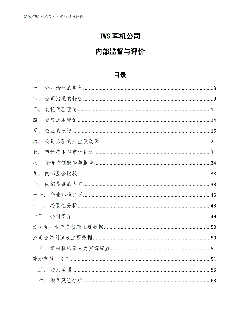 TWS耳机公司内部监督与评价_第1页