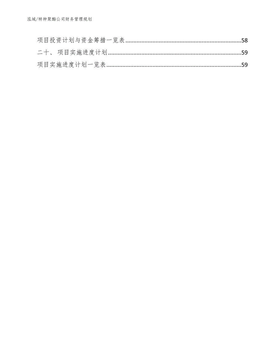 特种聚酯公司财务管理规划（参考）_第3页