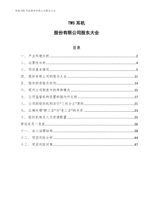 TWS耳机股份有限公司股东大会【范文】