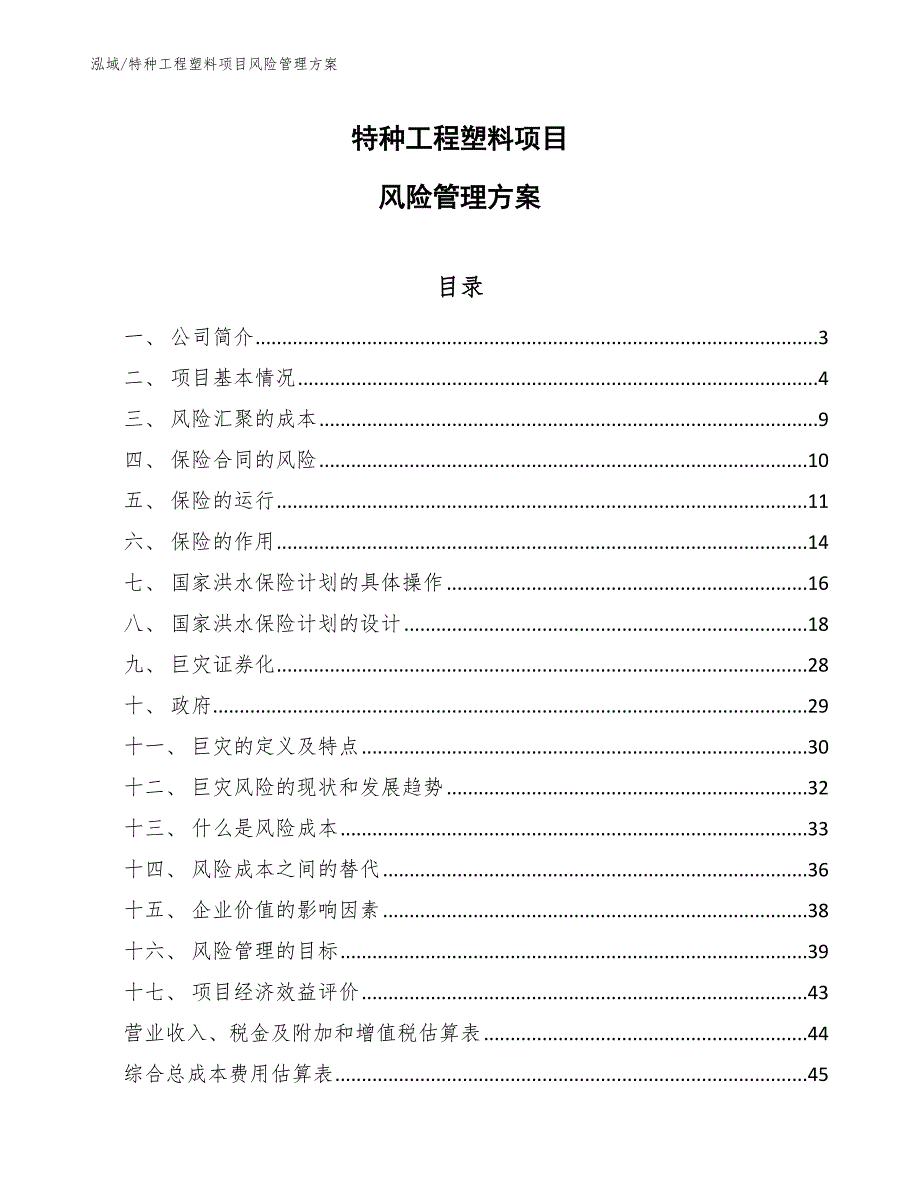 特种工程塑料项目风险管理方案（参考）_第1页